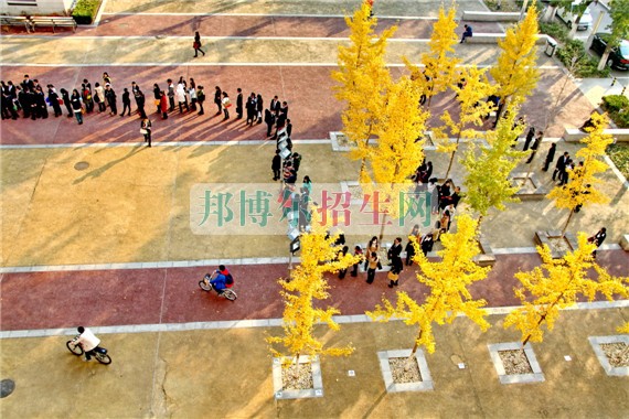 中央財經大學網站網址