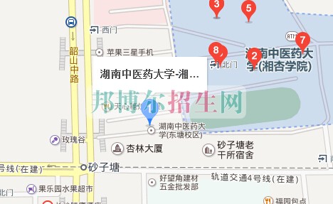 湖南中醫藥大學湘杏學院