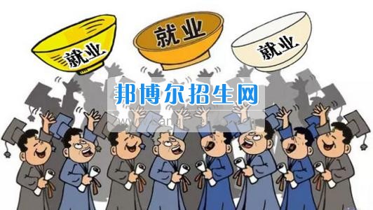 2017年云南新興職業(yè)學(xué)院畢業(yè)生就業(yè)壓力與 “職業(yè)資格證書”重要性