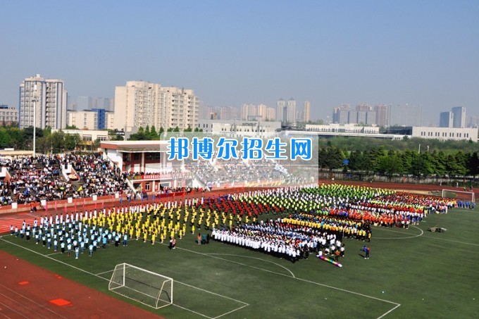 2017年四川托普信息技術(shù)職業(yè)學(xué)院第十七屆春季田徑運動會隆重開幕