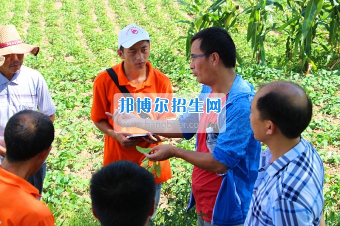 貴州師范大學求是學院領導攜專家一行看望慰問學院赴德江暑期“三下鄉”服務隊