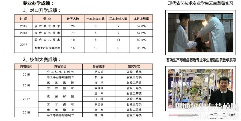 湖南桃花源高級技工學校電子信息專業(yè)群介紹