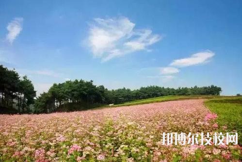 畢節七星關中等職業學校怎么樣、好不好