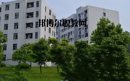 四川紅十字衛生學校2020年有哪些專業