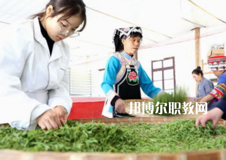 福建2023年女生讀中專學校學什么專業好